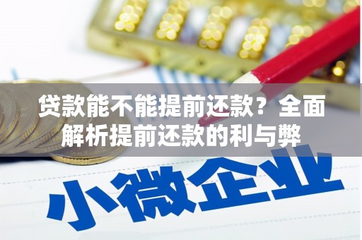 漾濞贷款能不能提前还款？全面解析提前还款的利与弊