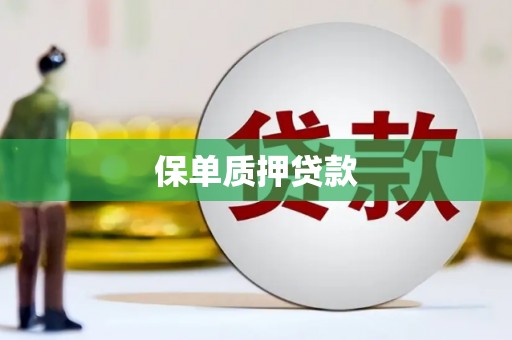 独山子保单质押贷款
