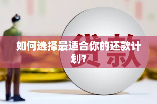 崇明如何选择最适合你的还款计划？