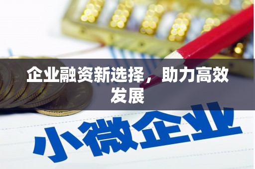 朔城企业融资新选择，助力高效发展
