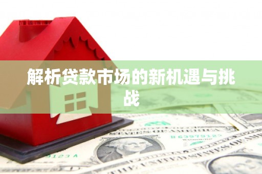 卧龙解析贷款市场的新机遇与挑战